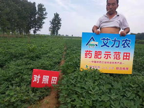 艾莱达告诉你什么是药肥