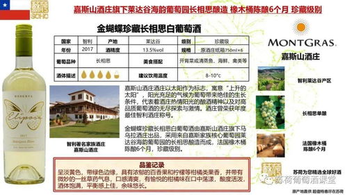金蝴蝶珍藏 智利著名酒庄嘉斯山酒庄酿造 莱达谷海韵园长相思 橡木桶陈酿12个月 特级珍藏级别